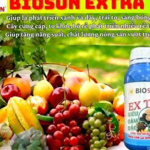 Phân Bón Lá Sinh Học BIOSUN EXTRA 500ml – Siêu Đậm Đặc Lá Xanh Trái To Rễ Khỏe Chống Nấm Nhẹ