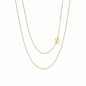 Minimalist 18K Gold Clavicle Chain