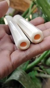 once pipa gg lokal blimbing dan segilapan 10cm bening