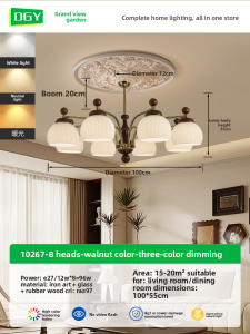 DGY | Elegant Chinoiserie & Vintage Style Pendant Light Eye Protection
