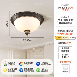 Classic round Iron Art Ceiling Light American Style Bedroom Hallway Entrance Balcony Lamp Simple Elegant Vintage Design