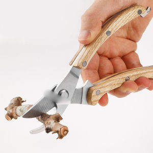 กรรไกรตัดกิ่งไม้เนื้อแข็ง ใบมีดเหล็กกล้าคาร์บอนคมกริบ ด้ามจับกันลื่น สำหรับตัดแต่งกิ่งไม้ ต้นไม้ ดอกไม้ ใช้ในสวน