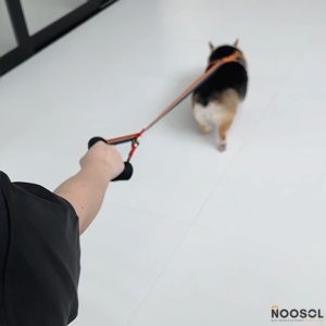 เปลี่ยนแปลง Noosol 🏳️‍🌈 1ชิ้น/แพ็ค สายจูงสุนัข แข็งแรง สายรูง สายจูงคู่ 2 กิจกรรม 13616