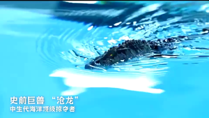 Remote Control Shark Toy Spray Water Electric Whale 2.4G Simulation RC Animals Simulation Submarine Fish Children Kids Toys Swimming Game