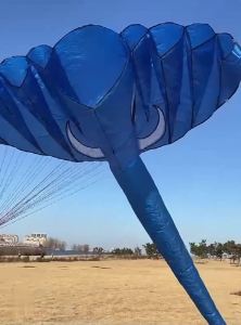 Inflatable kites Duck kite flying outdoor toys for nylon kites sport toys soft kites wheel adults kite professional wind kites