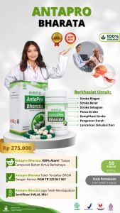 Obat Stroke Ringan Stroke Berat Komplikasi Stroke Herbal Antapro Bharata 100% Asli