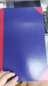 สมุดบัญชี 2-3 ช่อง แยกประเภท 5/100 (สมุดลายเส้น เปล่า)