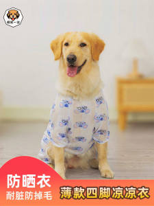 Summer Breathable Dog Clothes: A Guide for Golden Retrievers, Samoyeds & Medium-Large Breeds