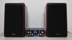AK35/AK45/AK55 Sound Amplifiers Bluetooth Digital Amplifier for Home Car Karaoke 2 Channel HiFi Stereo AMP FM USB Remote Control
