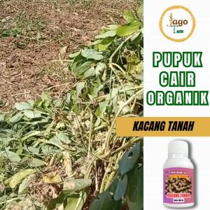 Pupuk Organik Cair Kacang Tanah 100 Ml Booster Penggemuk Tanaman Unggul By Jagotani Yogyakarta
