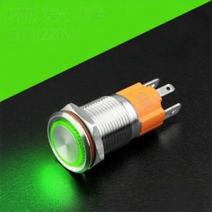 LANBOO | Waterproof 10A Self-Resetting Metal Button Switch with Light 16mm