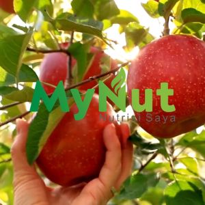 MYNUT CUKA APEL 250 ML APPLE CIDER VINEGAR 100% ASLI PRODUK HERBAL PREMIUM QUALITY