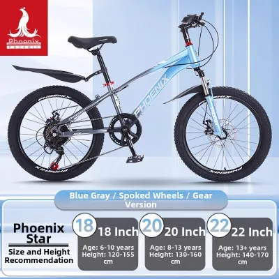 Phoenix | Mountain Disc Brake Speed Changeable Children Bike 20 Inches