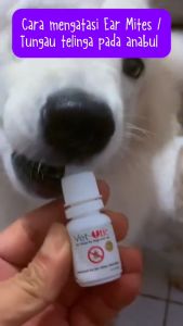 Vet Otic 10ml - Earmites Kutu Telinga Kucing Anjing Obat Vet Otic Rekomendasi Dokter Hewan - Pengobatan Untuk Infestasi Kutu Telinga - Vet Otic 10ml