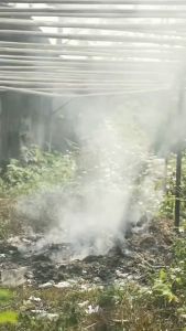 Kain Batik Pekalongan & Seragam Bridesmaids: Kualitas & Harga Terbaik