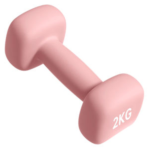 JINGJIE | Fitness Shaping Dumbbell 2kg
