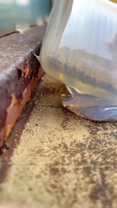 60 years of water-proof WB waterproofing coating gam kalis air teknologi jepun toilet waterproof coating 1000ml Wear -resistant，Life is more lasting，Resistance，waterproof glue waterproof sealant transparent waterproof glue waterproof