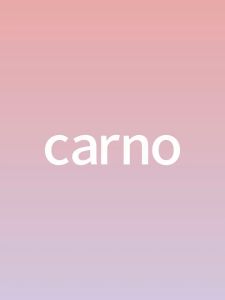 PET OASIS X Carno Carno Hamster Water Bottle and Dispenser 卡诺仓鼠水壶饮水器水樽款/悬挂款