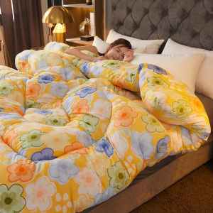 Thickened Winter Spring Autumn Summer Universal Single Person Quilt Student Dormitory Air Conditioner Comforter Core Warmth