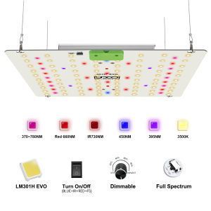 LM301h EVO 65w dimmable plant growth lamp used for plant growth and flowering