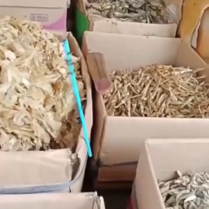 DADIDU Lem Lalat Stick 10 Isi Tangkai + 1 Dudukan Super Lengket – Lem Lalat Sedotan Perangkap Lalat Lem Perekat Lalat Sedotan Lem Lalat Isi 10 Batang