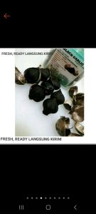 blec garlic bawang hitam