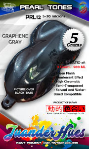 5Grams Graphene Gray Pearl Effect Mica Pigment Powder for Paint Powdercoat Binder PRL12