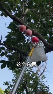 1.5m-10m Tiang Teleskopik Pemetik Buah Gergaji Jaring Celup