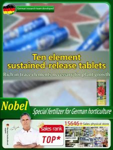 Germany Plant Nutrient Tablets Plant Growth Enhancer Hydroponic Nutrients Supplement Fertilizer Booster For Vegetative Plant 22pcs