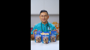 THE PERFECT PAWS ALLERGY + ITCH RELIEF CHEWS FOR DOGS