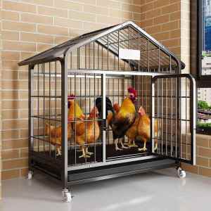 FUNNYDEER | Pest-Proof Chicken Cage