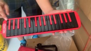 Pianika SPEEDS ada Not doremi Murah