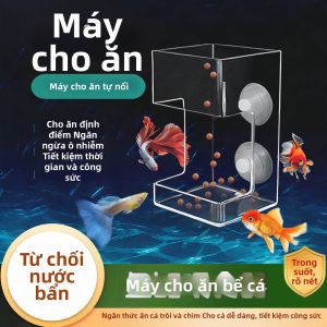 Vòng Cho ăn Acrylic Chống Nổi