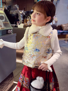 Elegant Childrens Tang Suit Winter Outfit for Little Girls Horse Tailed Skirt Set New Year Visit Clothing Hanfu Traditional Chinese Costume