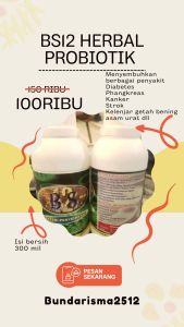 OBAT HERBAL DIABETES ASAM URAT BS12