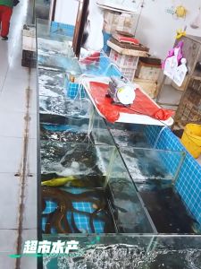 Pompa Aerator Kolam Resun ACO 001 Pompa Gelembung Akuarium Ikan 18 Watt Pompa Udara Oksigen Elektromagnetik Pompa Suplai Oksigen Ikan