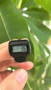 LED Cincin Tasbih Digital Mini Cantik 5 Digit LED RING Tasbih Digital