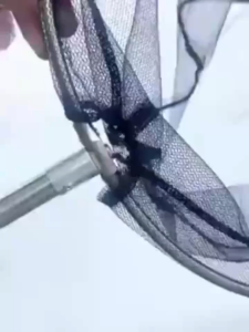 สวิงตักปลา ที่ช้อนปลา ที่ช้อนกุ้ง ตาข่ายหนาแน่นและผูกปมสูง พร้อมด้ามยืด 3 ระดับ ด้ามจับอลูมิเนียมSP373