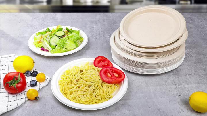 Paper Plates 10 inch, 50 Pack Compostable Plates, Eco Friendly Recycled Paper Plates, Brown Paper Plates Heavy Duty, Large Paper Plates Sturdy