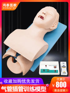 Human Airway Tube Insertion Training Model with Alarm Adult Oral Nasal Airway Blockage First Aid Demonstration Simulator