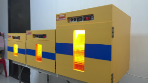 Juan Incubator Semi-automatic (25 Capacity)