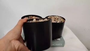 VS: ARTIFICIAL PLANTS POT 4X5 INCHES BLACK POT PLASTIC FLOWER CACTUS LEAVES SUCCULENTS POTS(JL-126)