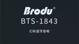 BTS-1843 Colorful Transparent Portable Bluetooth Speaker Home Karaoke Party Bluetooth Speaker with Wireless Microphone