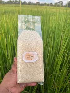 แพ็ค 5กิโลข้าวหอมมะลิใหม่ต้นปี🌾🌾🍚🐘 105 สุรินทร์ นุ่มหอมอร่อยสีใหม่ทุกวัน ชาวนาขายเอง (สีตามออร์เดอร์) แพ็คสูญญากาศ5กิโลกรัมรวมน้ำหนักกล่องผลิตภัณฑ์