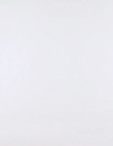 91066 91010 6548 6488 Court Belt Bag Women Men Waist Chest Pouch Beg