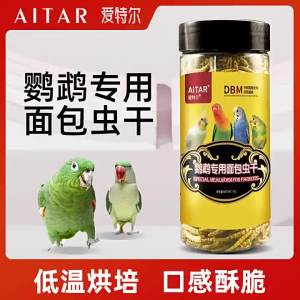 2025AITARAITAR Aiter Parrot Mealworms Dried for Budgies Lovebirds atiels Sun Conures Monk Parrots Snacks