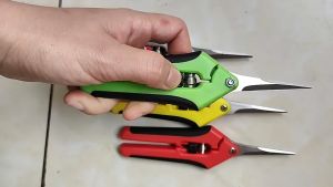 กรรมการตัดแต่งกิ่งไม้กรรแกรตัดแต่งกิ่งอุปกรณ์ตัดแต่งกิ่งในสวน