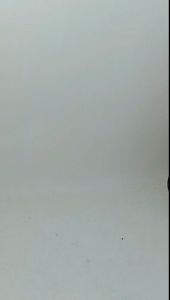 Jedai medium isi 12 pcs uk 3 cm