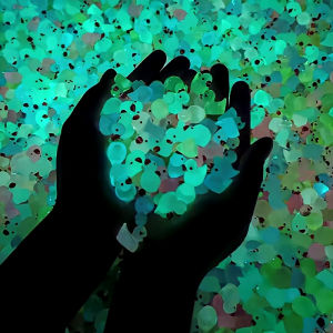 50PCS Luminous Mini Ducks Moss Microlandscape Miniature Duck Figurines Fairy Garden Accessories Home Decor Glow in The Dark