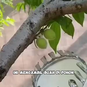 ALAT BANTU PEMETIK BUAH - Metal Fruit Picker